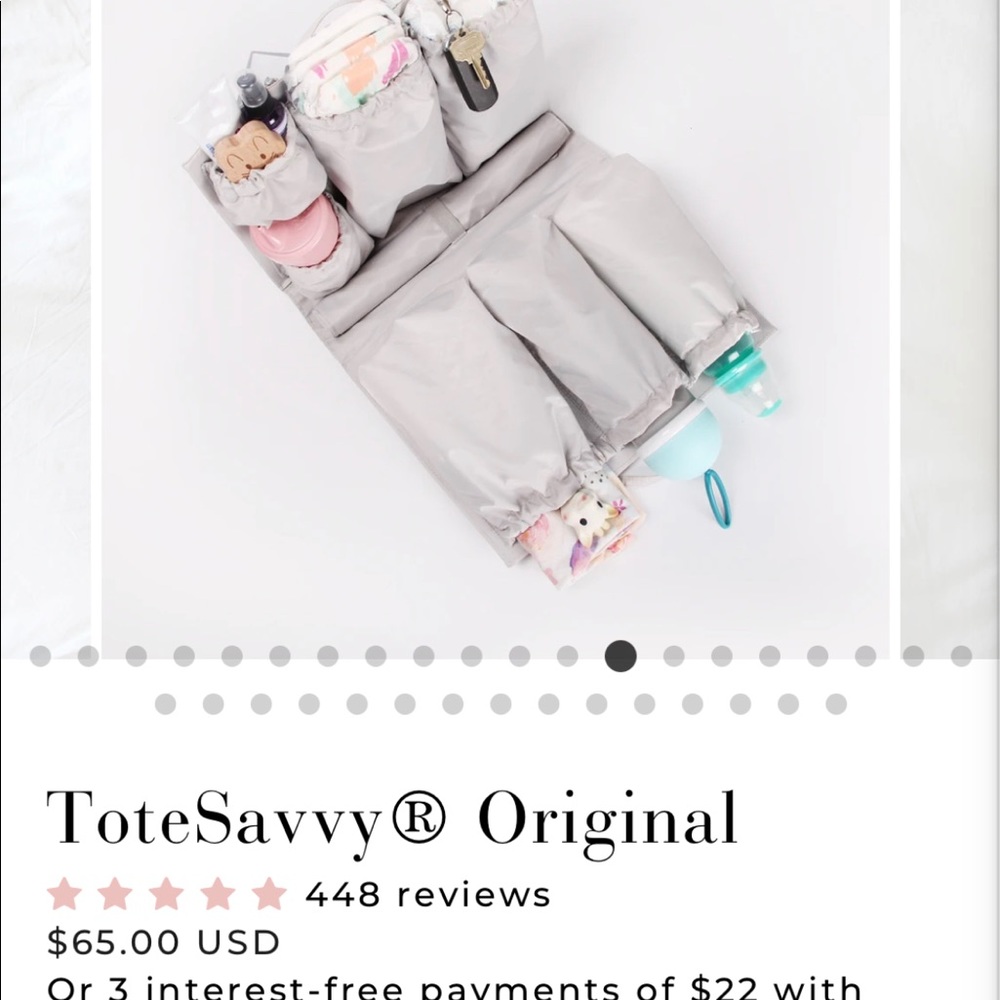 ToteSavvy insert